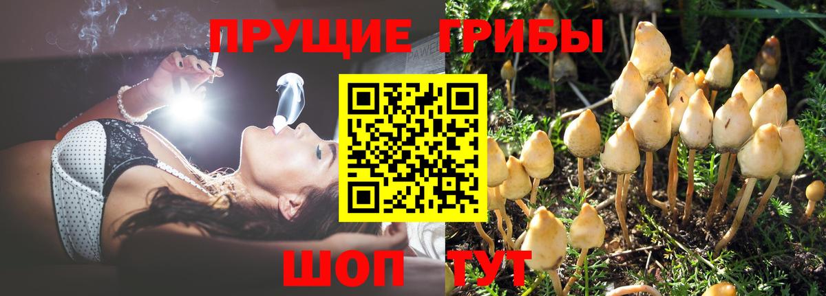 Псилоцибиновые грибы GOLDEN TEACHER  Березники 